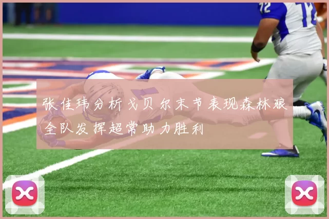 张佳玮分析戈贝尔末节表现森林狼全队发挥超常助力胜利